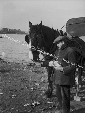 WORKMAN WITH WORKHORSE